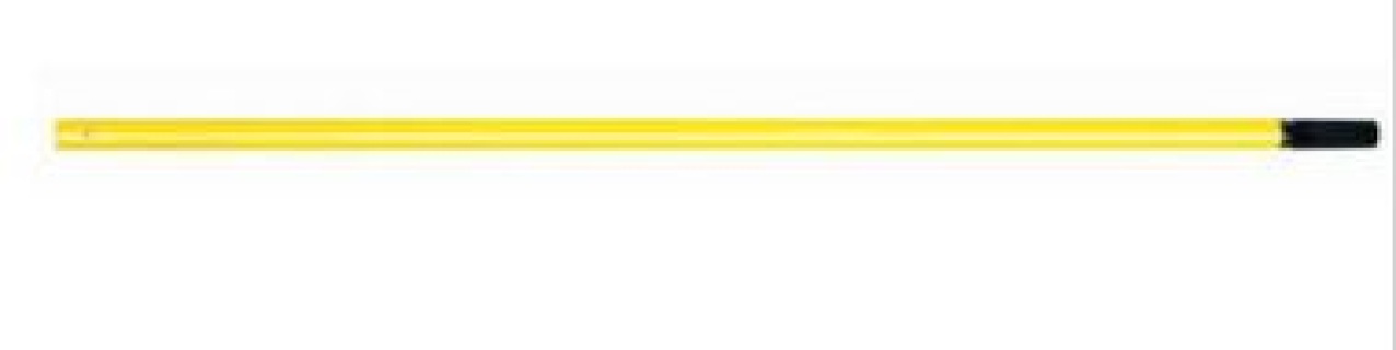 carlyle oars
